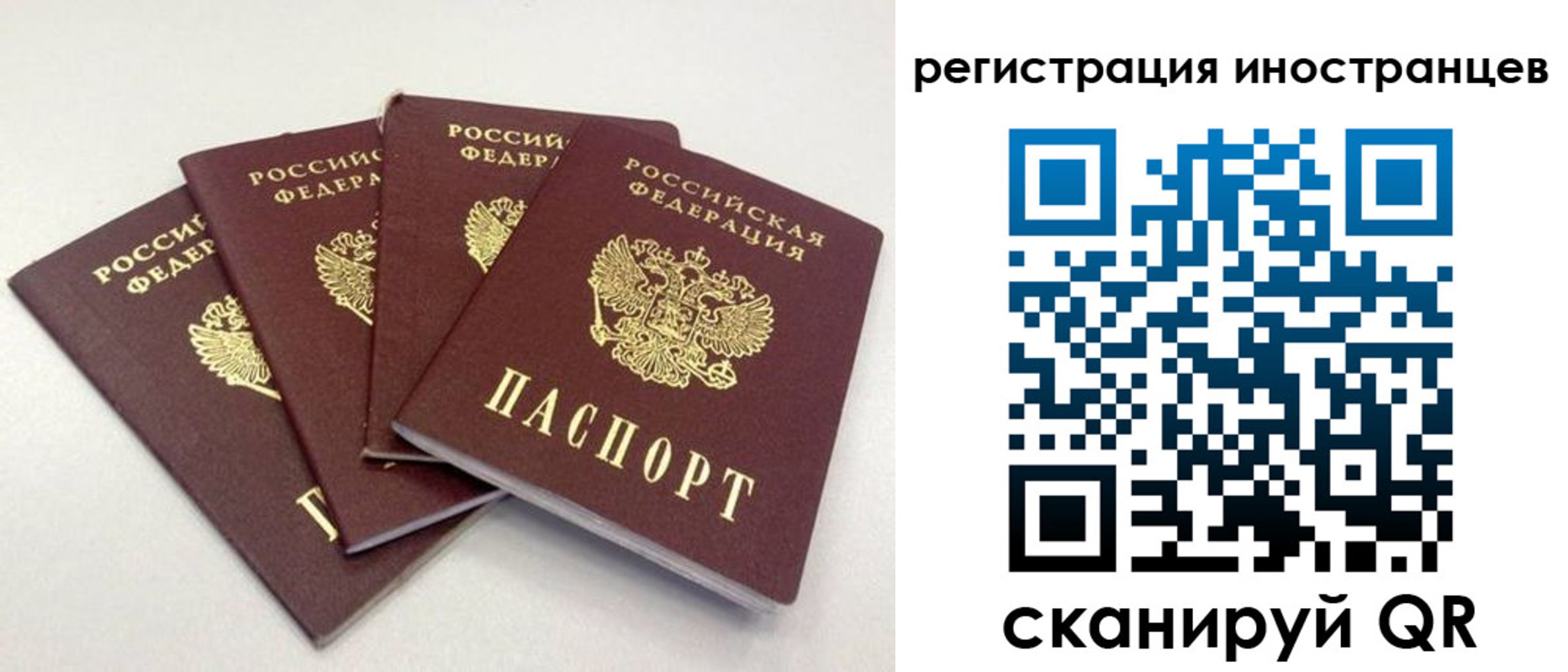 временная регистрация для школы в Оренбургской области